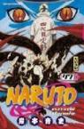 Naruto, tome 47 : Le sceau brisé par Kishimoto