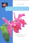 Orchidees par Bert