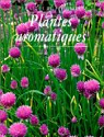 Plantes aromatiques par Mann