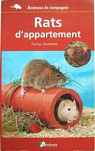 Rats d'appartement par Ingendail