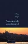Somnambule dans Istanbul par Faye