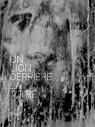 Un lion derrire la vitre par Le Brun (II)