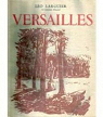 Versailles par Larguier