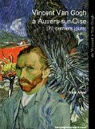 Vincent Van Gogh  Auvers-sur-Oise par Amiel