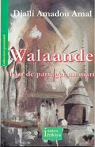 Walaande : L'art de partager un mari par Amadou Amal