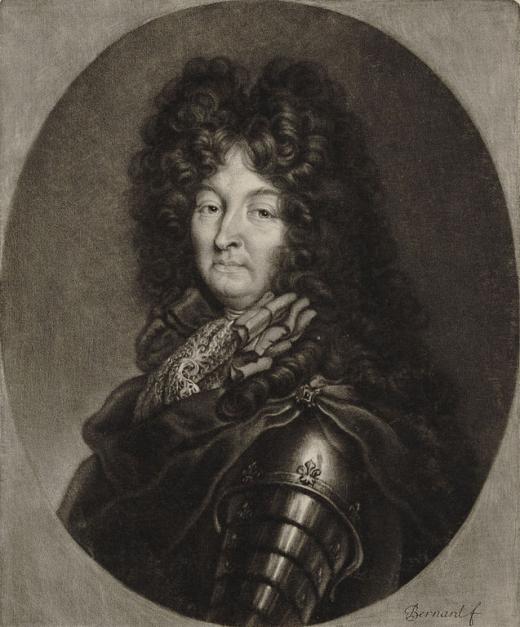 Roi Louis XIV